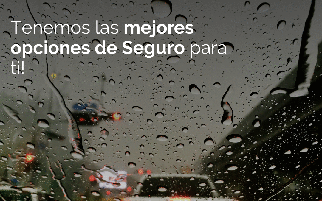 Polizas de Automovil diferentes opciones