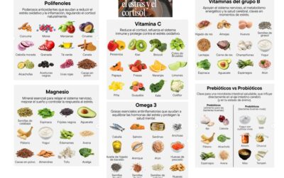 Alimentos que ayudan al bienestar