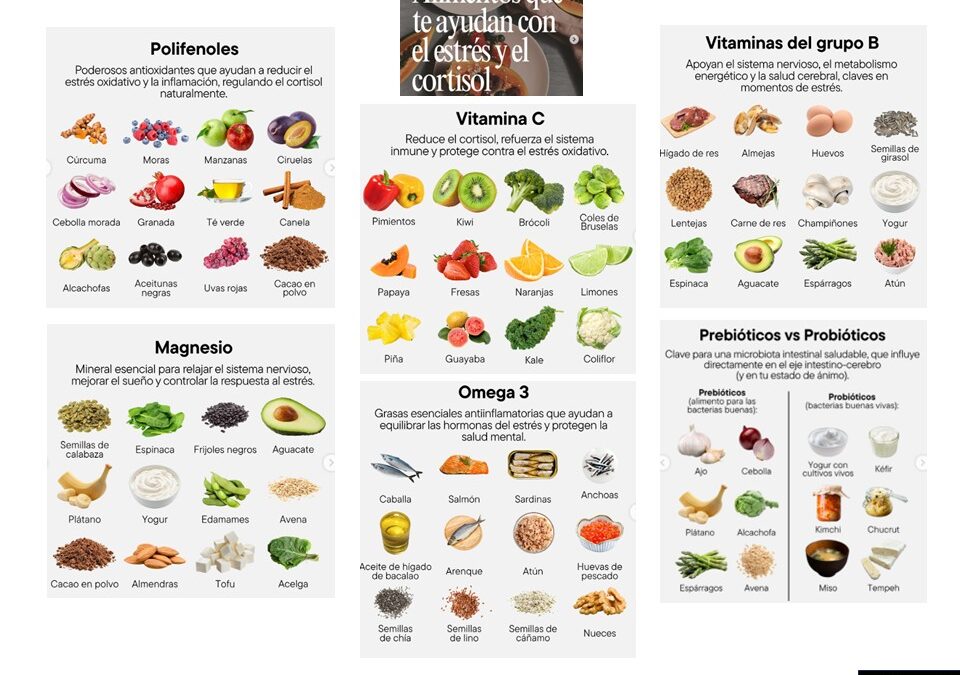 Alimentos que ayudan al bienestar