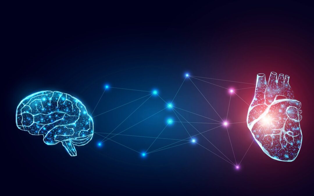 El cerebro y el corazon conectados.
